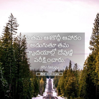 Picture 05 - కీర్తన 78:18 TELIRV - వారు తమ ఆశకొద్దీ - Bible Verse Picture