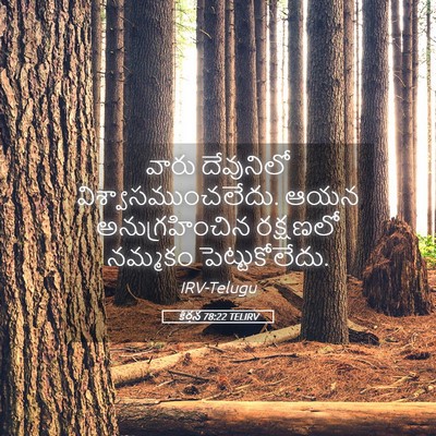 Picture 05 - కీర్తన 78:22 TELIRV - వారు దేవునిలో - Bible Verse Picture