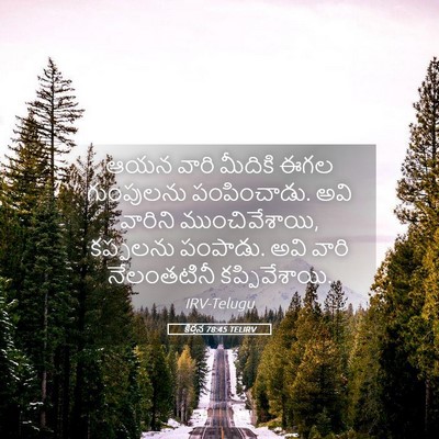 Picture 05 - కీర్తన 78:45 TELIRV - ఆయన వారి మీదికి - Bible Verse Picture