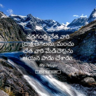 Picture 05 - కీర్తన 78:47 TELIRV - వడగండ్ల చేత వారి - Bible Verse Picture