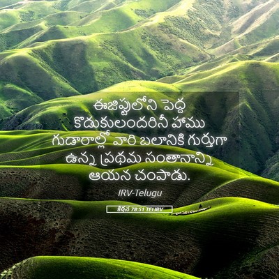 Picture 05 - కీర్తన 78:51 TELIRV - ఈజిప్టులోని పెద్ద - Bible Verse Picture