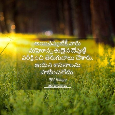 Picture 05 - కీర్తన 78:56 TELIRV - అయినప్పటికీ వారు - Bible Verse Picture