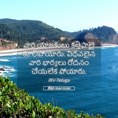 Picture 05 - కీర్తన 78:64 TELIRV - వారి యాజకులు - Bible Verse Picture