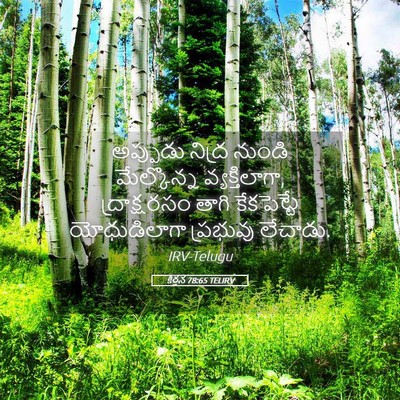 Picture 05 - కీర్తన 78:65 TELIRV - అప్పుడు నిద్ర - Bible Verse Picture