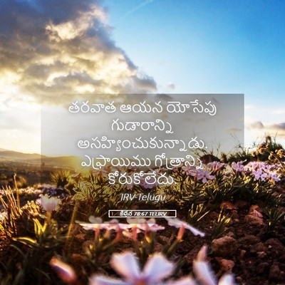 Picture 05 - కీర్తన 78:67 TELIRV - తరవాత ఆయన యోసేపు - Bible Verse Picture