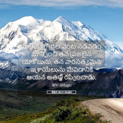 Picture 05 - కీర్తన 78:71 TELIRV - పాలిచ్చే గొర్రెల - Bible Verse Picture
