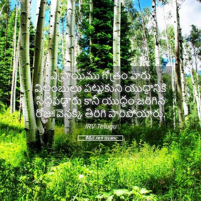 Picture 05 - కీర్తన 78:9 TELIRV - ఎఫ్రాయిము గోత్రం - Bible Verse Picture