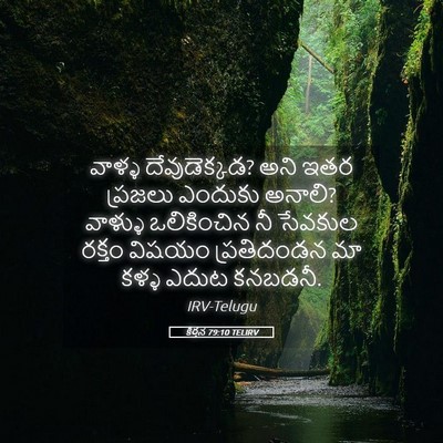Picture 05 - కీర్తన 79:10 TELIRV - వాళ్ళ దేవుడెక్కడ? - Bible Verse Picture