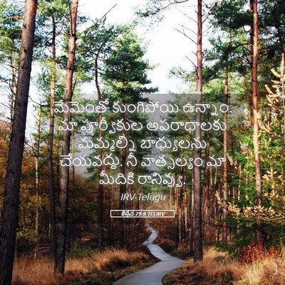 Picture 05 - కీర్తన 79:8 TELIRV - మేమెంతో కుంగిపోయి - Bible Verse Picture