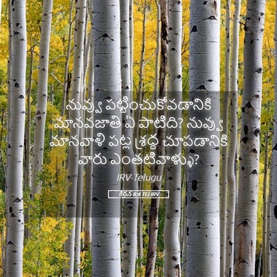 Picture 05 - కీర్తన 8:4 TELIRV - నువ్వు - Bible Verse Picture