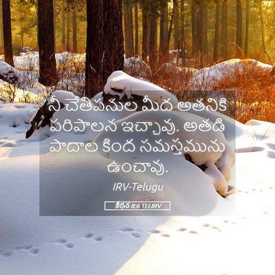 Picture 05 - కీర్తన 8:6 TELIRV - నీ చేతిపనుల మీద - Bible Verse Picture