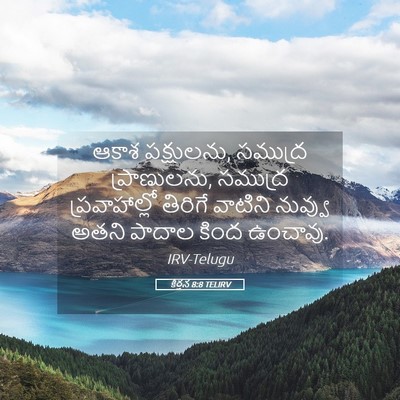 Picture 05 - కీర్తన 8:8 TELIRV - ఆకాశ పక్షులను, - Bible Verse Picture