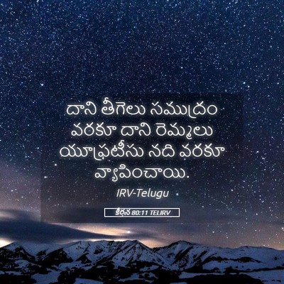 Picture 05 - కీర్తన 80:11 TELIRV - దాని తీగెలు - Bible Verse Picture