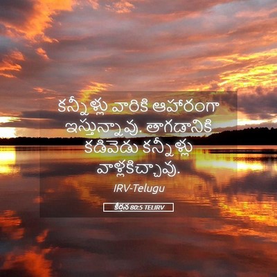 Picture 05 - కీర్తన 80:5 TELIRV - కన్నీళ్లు వారికి - Bible Verse Picture