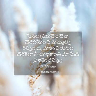 Picture 05 - కీర్తన 80:7 TELIRV - సేనల ప్రభువైన - Bible Verse Picture