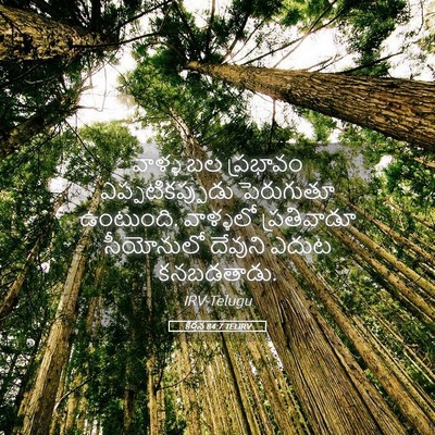 Picture 05 - కీర్తన 84:7 TELIRV - వాళ్ళ బల ప్రభావం - Bible Verse Picture
