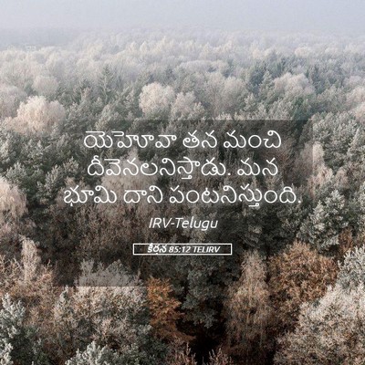 Picture 05 - కీర్తన 85:12 TELIRV - యెహోవా తన మంచి - Bible Verse Picture