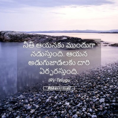 Picture 05 - కీర్తన 85:13 TELIRV - నీతి ఆయనకు - Bible Verse Picture