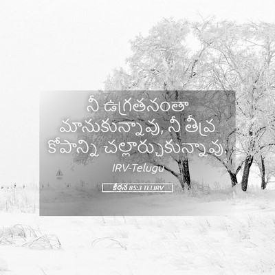 Picture 05 - కీర్తన 85:3 TELIRV - నీ ఉగ్రతనంతా - Bible Verse Picture