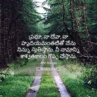 Picture 05 - కీర్తన 86:12 TELIRV - ప్రభూ, నా దేవా, నా - Bible Verse Picture