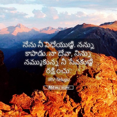 Picture 05 - కీర్తన 86:2 TELIRV - నేను నీ - Bible Verse Picture