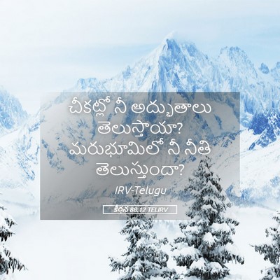 Picture 05 - కీర్తన 88:12 TELIRV - చీకట్లో నీ - Bible Verse Picture