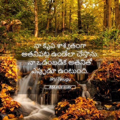 Picture 05 - కీర్తన 89:28 TELIRV - నా కృప శాశ్వతంగా - Bible Verse Picture