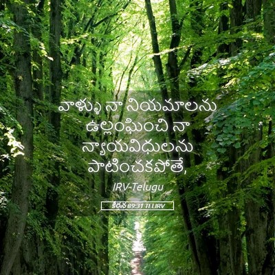 Picture 05 - కీర్తన 89:31 TELIRV - వాళ్ళు నా - Bible Verse Picture
