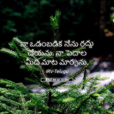 Picture 05 - కీర్తన 89:34 TELIRV - నా ఒడంబడిక నేను - Bible Verse Picture