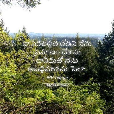 Picture 05 - కీర్తన 89:37 TELIRV - నా పరిశుద్ధత - Bible Verse Picture