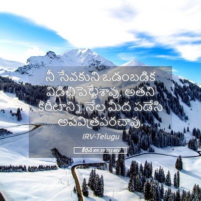 Picture 05 - కీర్తన 89:39 TELIRV - నీ సేవకుని - Bible Verse Picture