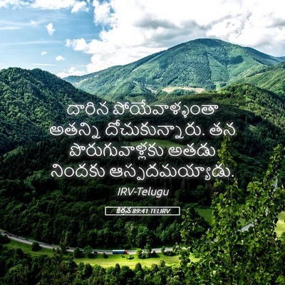 Picture 05 - కీర్తన 89:41 TELIRV - దారిన - Bible Verse Picture