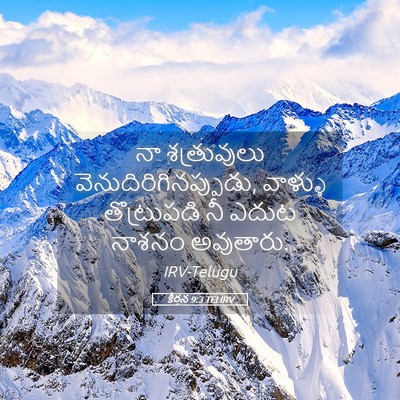 Picture 05 - కీర్తన 9:3 TELIRV - నా శత్రువులు - Bible Verse Picture