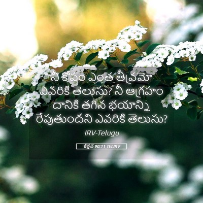 Picture 05 - కీర్తన 90:11 TELIRV - నీ కోపం ఎంత - Bible Verse Picture