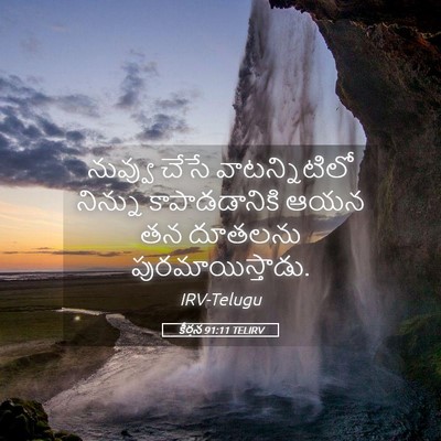 Picture 05 - కీర్తన 91:11 TELIRV - నువ్వు చేసే - Bible Verse Picture