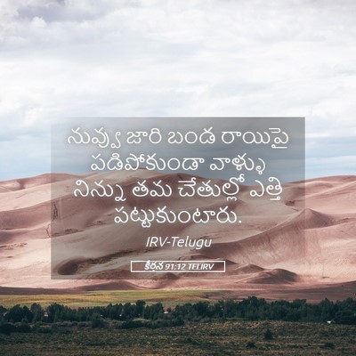 Picture 05 - కీర్తన 91:12 TELIRV - నువ్వు జారి బండ - Bible Verse Picture