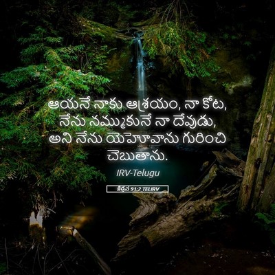 Picture 05 - కీర్తన 91:2 TELIRV - ఆయనే నాకు ఆశ్రయం, - Bible Verse Picture
