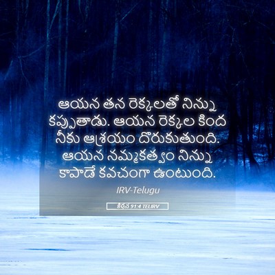 Picture 05 - కీర్తన 91:4 TELIRV - ఆయన తన రెక్కలతో - Bible Verse Picture