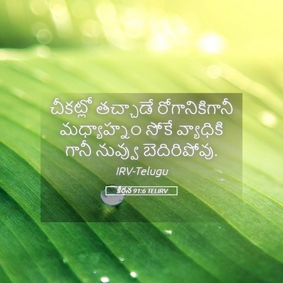 Picture 05 - కీర్తన 91:6 TELIRV - చీకట్లో తచ్చాడే - Bible Verse Picture