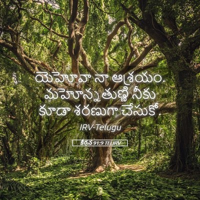 Picture 05 - కీర్తన 91:9 TELIRV - యెహోవా నా ఆశ్రయం. - Bible Verse Picture