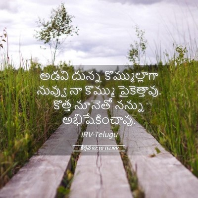 Picture 05 - కీర్తన 92:10 TELIRV - అడవి దున్న - Bible Verse Picture