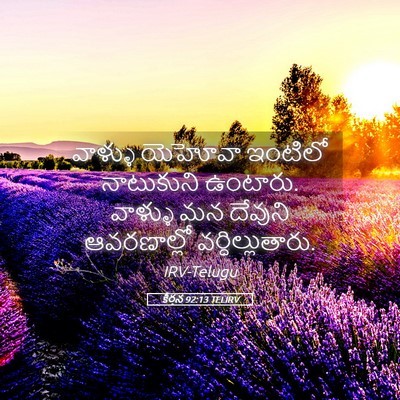 Picture 05 - కీర్తన 92:13 TELIRV - వాళ్ళు యెహోవా - Bible Verse Picture