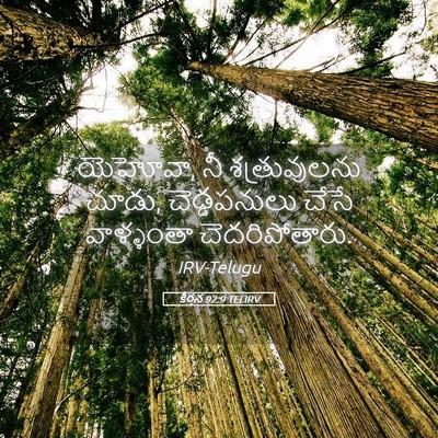 Picture 05 - కీర్తన 92:9 TELIRV - యెహోవా, నీ - Bible Verse Picture