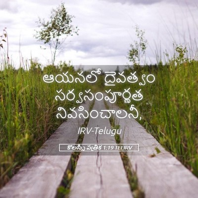 Picture 05 - కొలస్సీ పత్రిక 1:19 TELIRV - ఆయనలో దైవత్వం - Bible Verse Picture