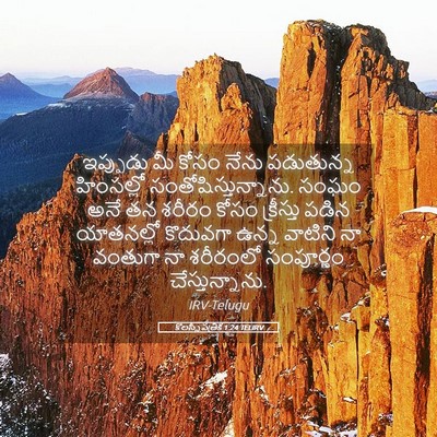 Picture 05 - కొలస్సీ పత్రిక 1:24 TELIRV - ఇప్పుడు మీ కోసం - Bible Verse Picture