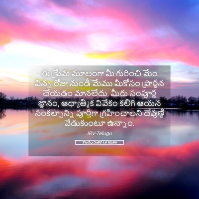 Picture 05 - కొలస్సీ పత్రిక 1:9 TELIRV - ఈ ప్రేమ మూలంగా మీ - Bible Verse Picture