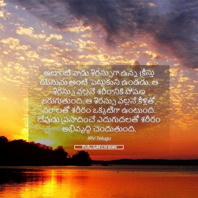 Picture 05 - కొలస్సీ పత్రిక 2:19 TELIRV - అలాంటి వాడు - Bible Verse Picture
