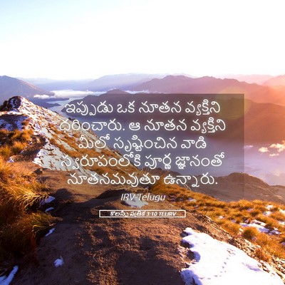 Picture 05 - కొలస్సీ పత్రిక 3:10 TELIRV - ఇప్పుడు ఒక నూతన - Bible Verse Picture