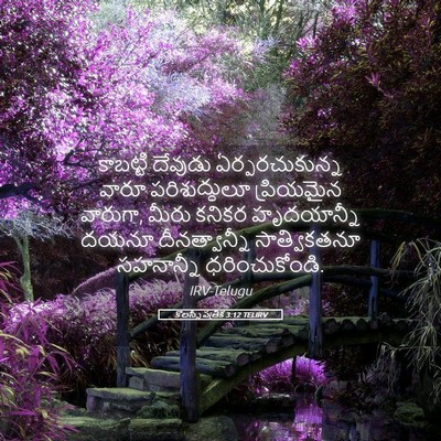 Picture 05 - కొలస్సీ పత్రిక 3:12 TELIRV - కాబట్టి దేవుడు - Bible Verse Picture