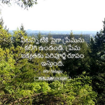 Picture 05 - కొలస్సీ పత్రిక 3:14 TELIRV - వీటన్నిటికి పైగా - Bible Verse Picture